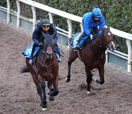 Movimento poderoso na encosta Touchwood. &quot;Brother Tag&quot; de Taketoyo e Takeyuki ganha prêmio principal / Nikkei New Year Cup - Corrida de cavalos: Nikkan Sports